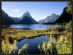 Nowa Zelandia, Roślinność, Góry, Jezioro, Milford